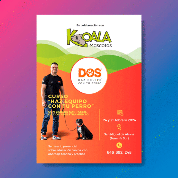 Impresión flyer curso perros Koala Mascotas (folletos publicitarios) en Tenerife